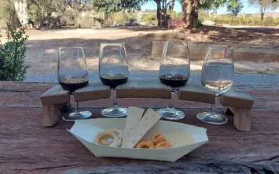 Rare & Aged Barossa Wine & Snack Tasting Experiences